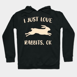 Rabbit Lover Gifts funny Hare Bunny Gift Hoodie